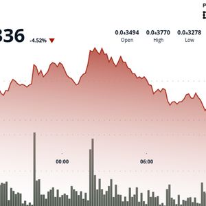 BONK Tests Support Levels After High-Volume Drop
