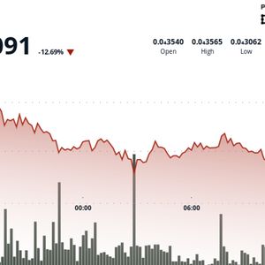 BONK Drops 14% as Institutional Selling Accelerates in Risk-Off Environment