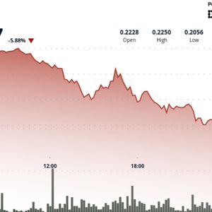 DOGE Suffers 8% Drop but Signs of  Institutional Accumulation at 21-Cents