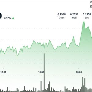 DOGE Rally Stalls at 20-Cents, But Large Holder Activity Flashes Bullish Signs