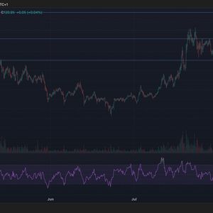 Litecoin Surges 10% on ETF Hopes and Merchant Activity Amid Quiet Rotation