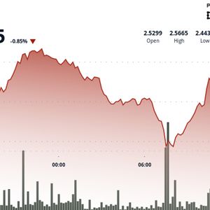 NEAR Plunges 5% Before Staging Sharp Recovery Rally