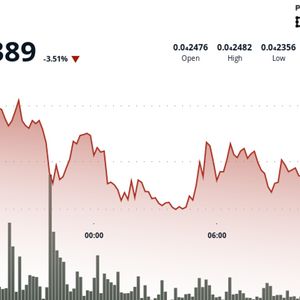 BONK Drops 4% With Volatility Exceeding Altcoin Average