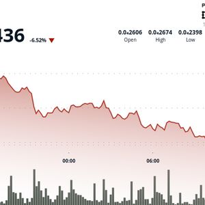 BONK Slides 6% to Test Key Support