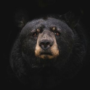 Asia Morning Briefing: Traders Tilt Bearish on August BTC, ETH Targets as Retail Lags Institutions