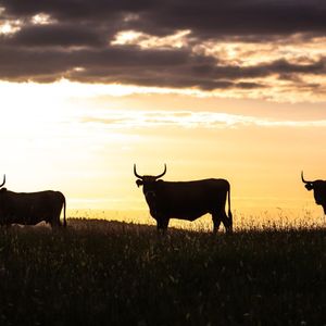Ether, Solana, BNB Outshine Bitcoin as Cryptos Rebound