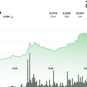 DOGE Price Action Builds Higher Lows While Resistance Holds