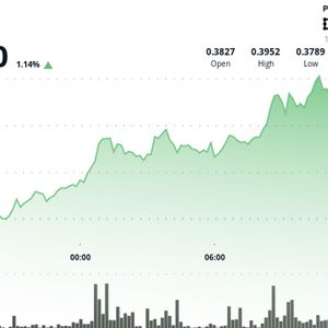 XLM Jumps 4.3% Amid Volatile Trading Session
