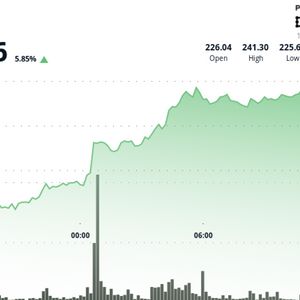 SOL Rallies as Novogratz Calls Solana ‘Tailor-Made’ for Financial Markets, Analyst Sees $1,314 Target