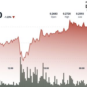Dogecoin Bargain Hunters Snap Up 680M DOGE; Focus on DOGE-BTC and Fed Rate Cut