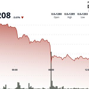 Shiba Inu Tanks 5%, SHIB-DOGE Bounces From Record Lows
