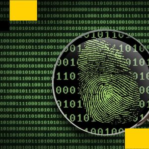 Elliptic Warns of Industrial-Scale Pig Butchering Scams Laundering Through Crypto