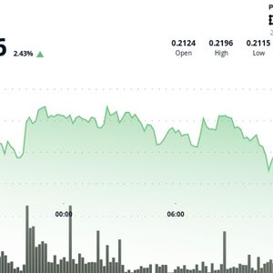 HBAR Climbs on Strong Volume, Testing Resistance Near $0.217