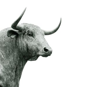 Crypto Markets Today: Bitcoin Breaks $119K as Altcoins Surge, Traders Eye Record Highs