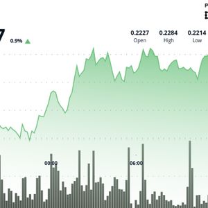 HBAR Rallies on Institutional Interest, Faces Resistance at $0.23