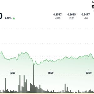DOGE Rallies 3% Back Above $0.26 as Traders Target $0.30