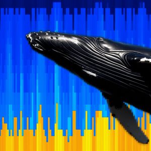 Bitcoin’s Short-Term Whales Now Hold $10.1B in Paper Gains. Is a Cash Out Next?