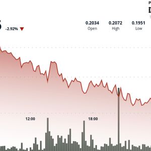 DOGE Trading Desk Flows Hint Bottoming. Watch $0.214 Flip for Momentum Trigger