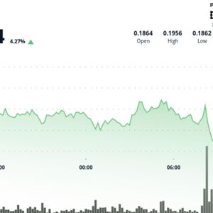 DOGE Holds $0.19 Base as 'Smart Money' Accumulates Ahead of Breakout Attempt