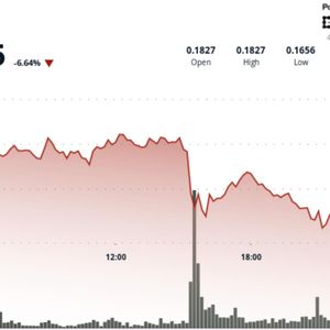 Dogecoin Plunges 8% as Price Action Points to Brief Technical Bounces