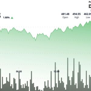 European Session Buying Lifts Bitcoin Cash to $491.80 After Breaking $487 Resistance