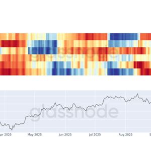 Bitcoin Whales vs Everyone Else, and the Whales Are Winning
