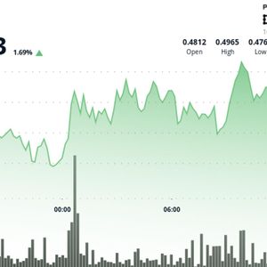 WIF Surged 5% to $0.497 Before Retreating as Profit-Taking Emerged