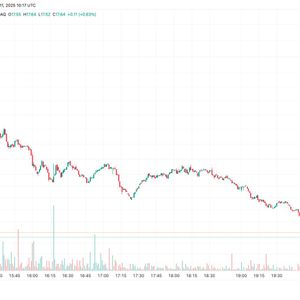 Bitdeer Fell 20% on Wider-Than-Estimated Net Loss, ASIC Chip Delay
