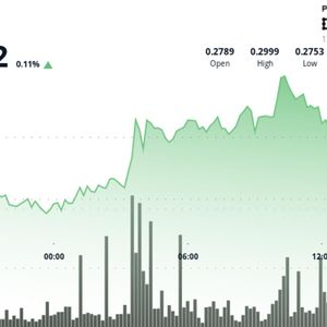 Stellar Tumbles Below Key $0.285 Support as Bears Take Over