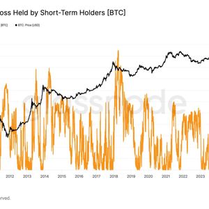 Short-Term Holder Bitcoin Supply in Loss Climbs to Highest Level Since FTX Collapse