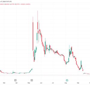 Kindly MD Delays Earnings Report Filing as Merger Losses Mount; Shares Drop