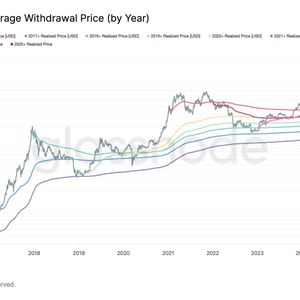 Bitcoin Correction Mirrors April Drop As 2025 Buyers Fall Into The Red