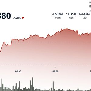 BONK Holds Range as Heavy Volume Marks Key Support Retest
