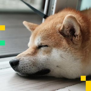 DOGE Beats the Blue Chips as D.O.G.E Calls it Quits