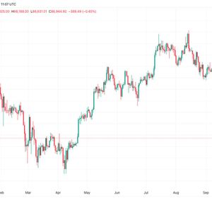 Smaller Turkey For Bitcoin Holders As Holiday Price Comes In Lower Year Over Year