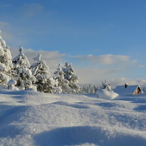 This Bitcoin-Led, Institutionally Anchored Cycle Shows the Three-Month Drop Isn’t a Winter: Glassnode