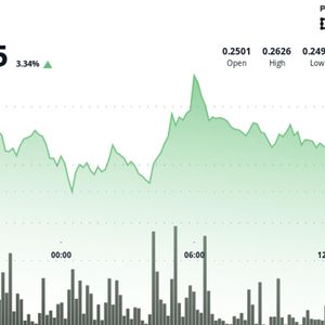 Stellar Climbs 2% as Volume Spikes Signal Institutional Interest