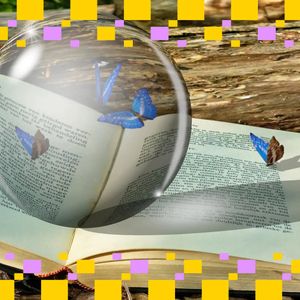 Boring Bitcoin's Green Light Moment Incoming?