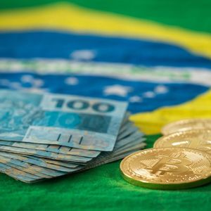 Brazil’s Largest Asset Manager Recommends Investors Put Up to 3% of their Money in Bitcoin to Hedge Against FX, Market Shocks