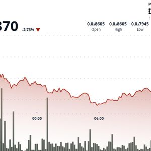 BONK drops 6.2% as elevated volume marks shift at key technical levels