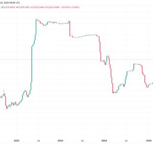 Bullish Բիթքոին-ը խաղում է Bitfinex-ում 2024 թվականի սկզբից ի վեր ամենաբարձր մակարդակի