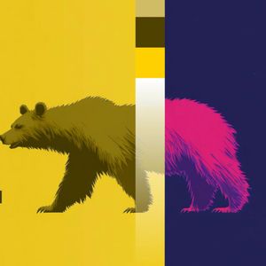 Crypto Markets Today: Cardano-based NIGHT crashes, ZEC, XMR also drop