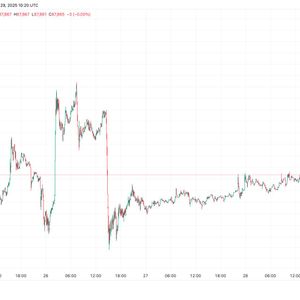 Bitcoin reverses early gains, drops below $88,000 as Nasdaq futures wilt