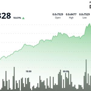 BONK jumps more than 10% in 24 hours as momentum pushes price higher