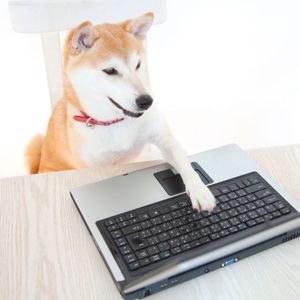 Crypto Markets Today: Bitcoin tests key resistance as memecoin trading volume explodes