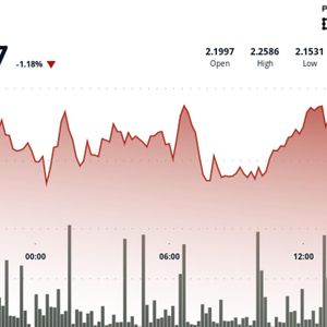 Polkadot's DOT declines in U.S. afternoon selloff