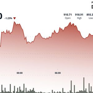 BNB falls below $900 even after network upgrade, ecosystem developments as market declines