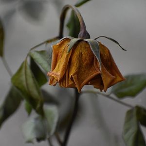 Bitcoin ETF optimism fades as three-day outflows streak erases early-month gains