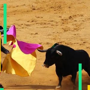 Bitcoin surges above $95,000 as ether, solana, cardano jump 8% on investor optimism