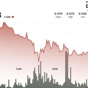 Dogecoin falls 2% as liquidation pressure hits meme coins